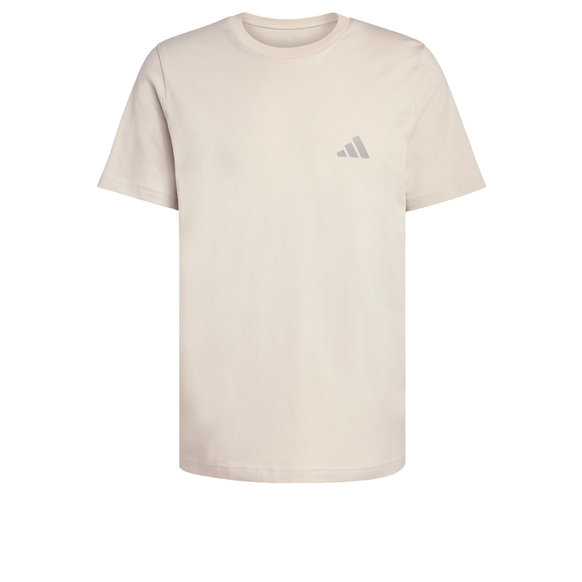 adidas Men's Terrex Mountain Graphic Shirt, Wonder Alumina, 3XL