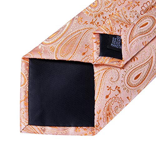 Image of DiBanGu Silk Ties for Men Necktie and Lapel Pin Brooch Set Formal Woven Paisley Plaid Striped Solid Tie Wedding Party