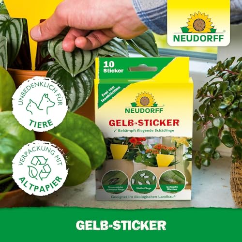 Neudorff Gelbsticker gegen kleine Fliegende Schädlinge wie Trauermücken, insektizid frei, geruchlos, 10 Stück (1er Pack)
