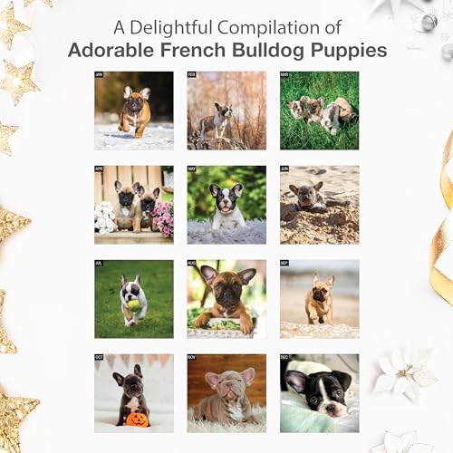 Image of RED EMBER French Bulldog Puppies 2026 Wall Calendar 12 Month | 12 inch x 24 inch Open | Thick & Sturdy Paper | Giftable | Cute Frenchie Puppy Dog Calendar 2026