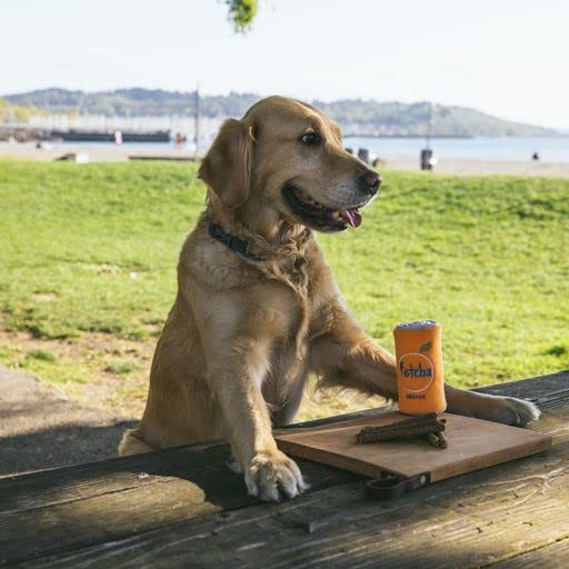 Juguete mordible ZippyPaws Squeakie Can para perros miniatura 5