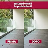 Zoom IMG-2 lerava insetticida cimici 500 ml Zoom IMG-2 lerava insetticida cimici 500 ml