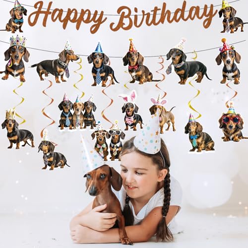 Image of 10Pcs Dachshund Birthday Party Decorations Weiner Dog Banner with Hanging Swirls Decor Dachshund Dog Party Supplies Puppy Bday Decoration
