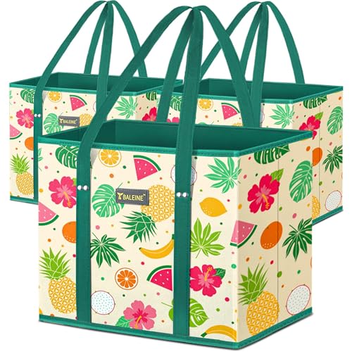 Grocery Bags
