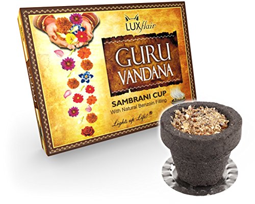 12x Räuchertöpfchen gefüllt mit Benzoe Harz, XXL Set Kohletöpfchen gesamt ca. 120g, Räuchermischung mit Räucherkohle für unterwegs