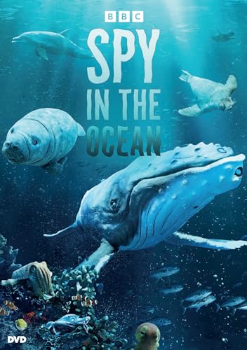 Spy In The Ocean
