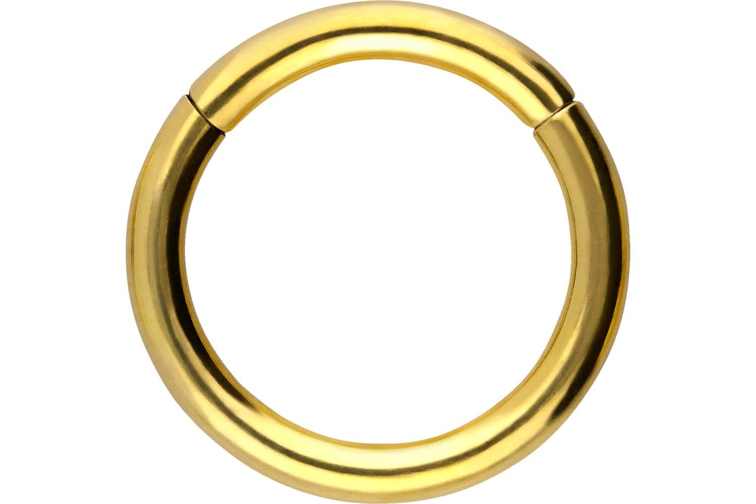 PIERCINGLINE Anillo segmento Clicker de acero quirúrgico – Piercing en oro, plata, rosa, negro o azul – para nariz, tabique, oreja, hélice o tragus — view 144