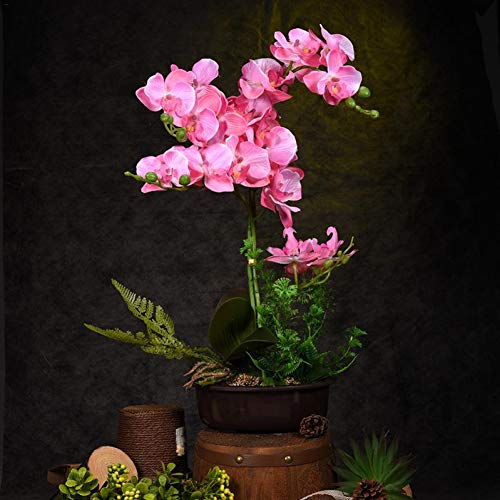 Fleurs de simulation phalaenopsis en pot avec mini bonsaï créatif artisanal - 2