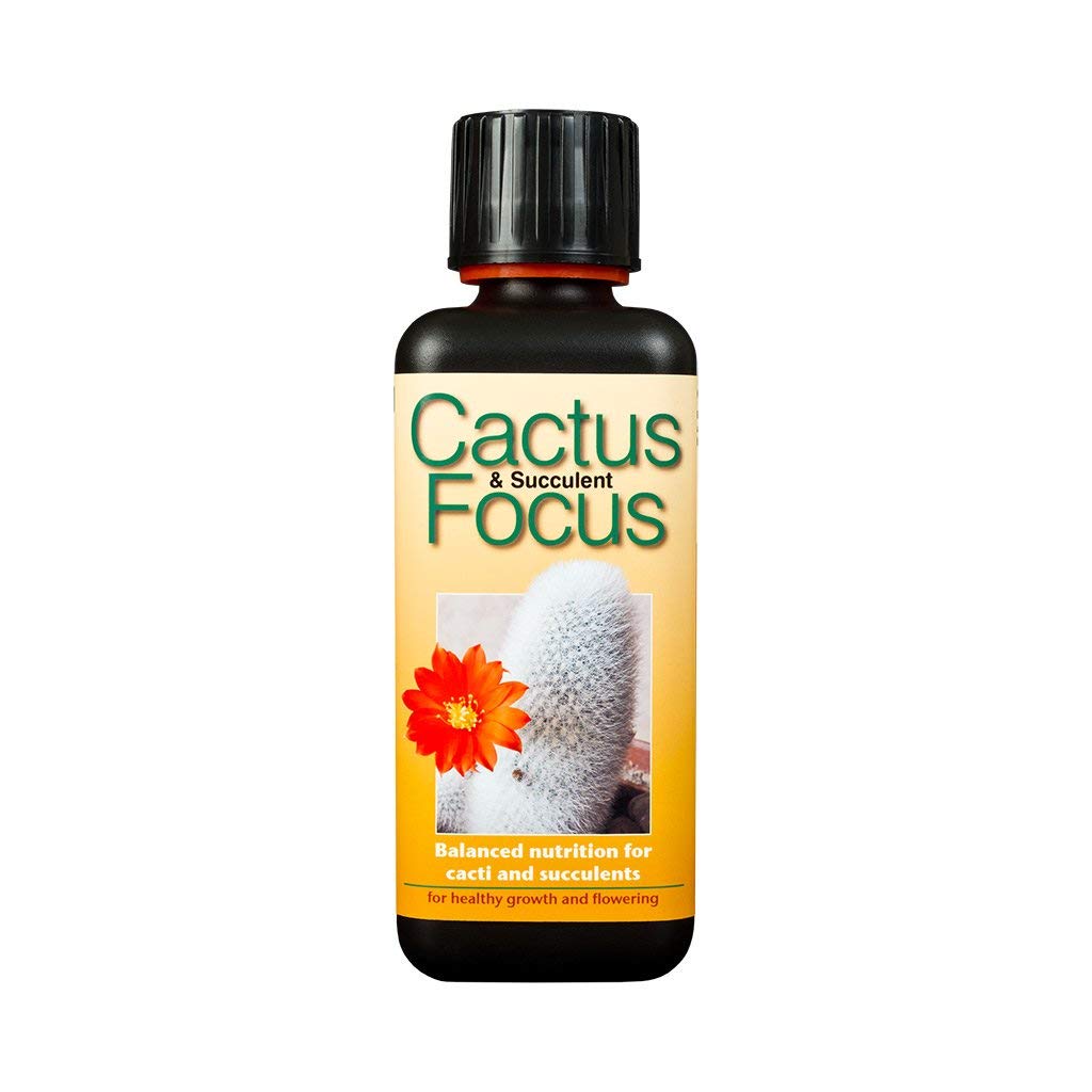 GT- Focus Range For Orchids Chillies,& More Specialist Plants Fruits & Trees (Palm Focus - 300ml)