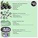 Organic Shop Eucalyptus & Blackcurrant, Sugar Softening & Exfoliating Body Scrub, 100% Vegan & Organic, Daily Exfoliant, Detox & Moisturizer, Body Intensive Care & Skin Toning. 250ml.