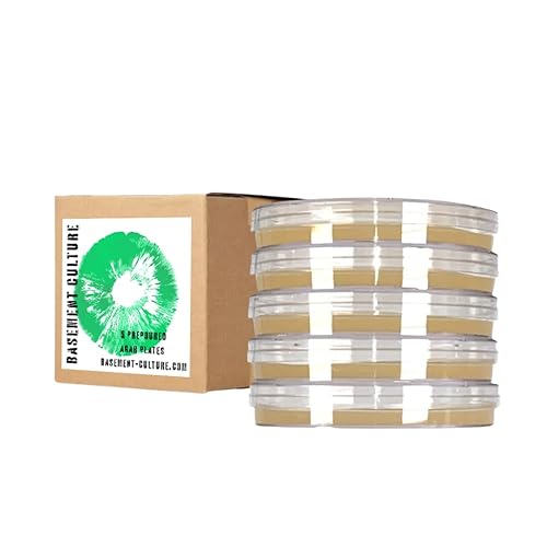 BASEMENT CULTURE Platos de agar dextrosa de patata con peptona Paquete de 5 platos de agar estériles de Petri Perfecto para cultivo de hongos y