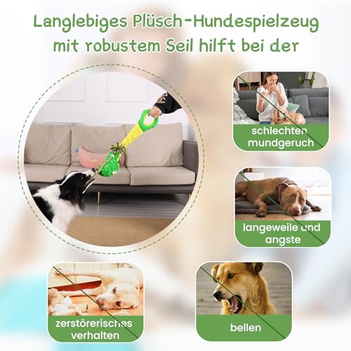 WinTour Hundespielzeug, Süßes Quietschendes Hundespielzeug mit Crinkle-Papier, Tauziehen, um sie zu Beschäftigen, Gefüllte Hundekauspielzeug für Kleine, Mittlere, Große Hunde