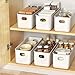 johgee 6er-Set Aufbewahrungsbox mit Deckel, PP Kunststoff, 6 x 2.8L (28 x10.5 x9.5 cm), Weiß