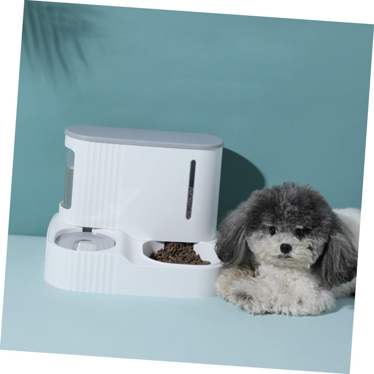 Distributeur Automatique et Eau de Nourriture Gravité, pour Chats