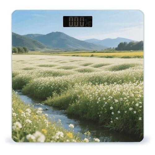 Báscula Digital de Baño VstaDank con Pantalla LCD y Vidrio Templado