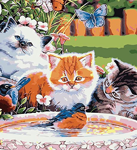 Kit de pintura de diamante 5D de puesta de sol naranja: el regalo DIY ideal de 30x40 cm