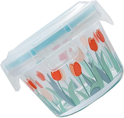 GOOHOCHY Contenedor de caja de vidrio sellado de plástico casual