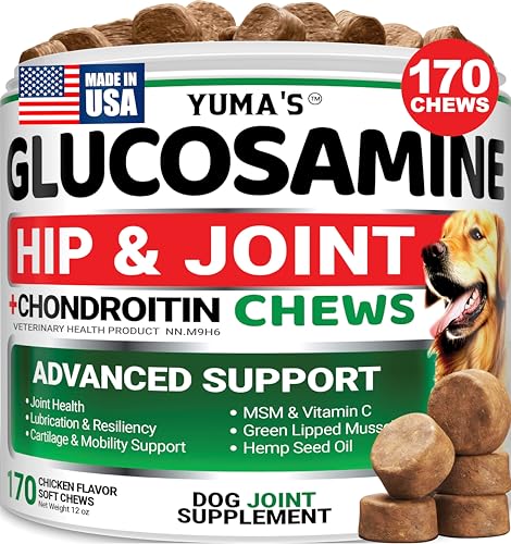 Glucosamine for Dogs - Hip and Joint Supplement for Dogs - 170 Ct - Glucosamine Chondroitin Chews - Joint Pain Relief Supplement with MSM - Advanced Health - Mobility Support - Made in USA