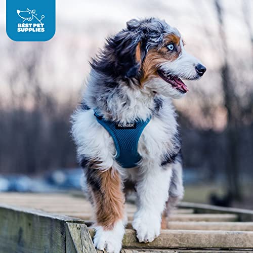Voyager Step-In Air Hundegeschirr by Best Pet Supplies - All Weather Mesh Step in Vest Harness für kleine und mittlere Hunde, Blau, size S - Brust 37-40 cm