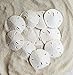 Tumbler Home White Sand Dollars 3