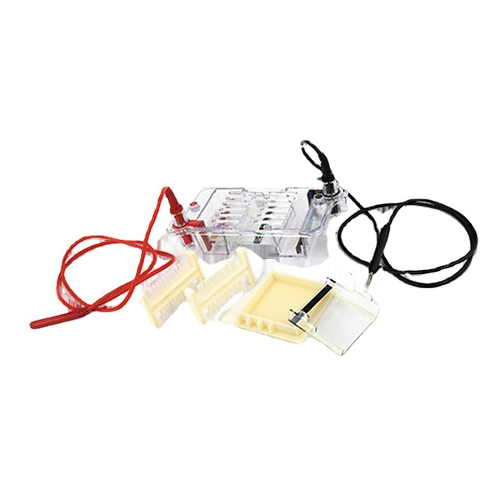 Elektrophorese Geraet, DYCP-31BN Agarose Horizontaler Elektrophorese-Instrument Labor Biomolekularer Test-Elektrophorese-Tank