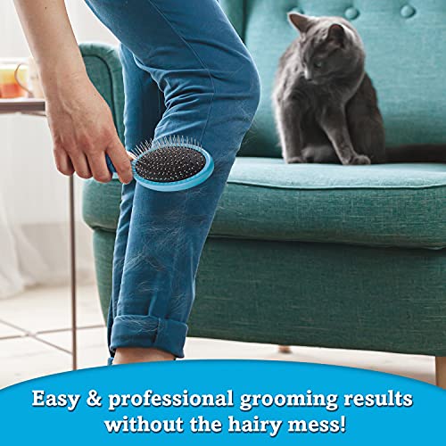 Boshel Dog Hair Brush And Hair Remover – 2-In-1 Dog Grooming Brush & Dog Hair Remover - Dog Brush With Safe Round Pin Edges, Lays On A Soft Cushion + Pet Hair Remover Rubber Cleans Up The Hairy Mass #TOP4