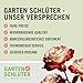 Kletterrose Moonlight in Kupfer-Gelb - Rosa - Kletter-Rose winterhart & duftend - Pflanze für Rankhilfe im 5 Liter Container von Garten Schlüter - Pflanzen in Top Qualität