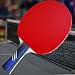 Custom Gambler Professional Table Tennis Paddle with AC Hero Mega Weave Arylate Carbon Blade and Aces Rubber plus Blue Case