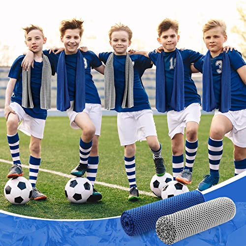 30 Pcs Cooling Towels(40"X12"), Cooling Towels For Neck And Face Microfiber Sport Towel Soft Breathable Chilly Ice Towel Sweat Towels For Gym Golf Yoga (Light Gray, Dark Blue) #TOP5