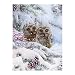 Pintura de Diamante Cuadrado Completa con Brocas 5D Square Diamond Art para Decoración de la Pared de Lona Búhos Kit de Punto de Cruz Adultos Principiantes Lienzo Animales Pintura por Numeros 30x40cm