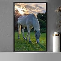 Framed Canvas Wall Art Horse Animals Dramatic Farmhouse/Country Horse Living Room Multicolor Photography - 16x24 inches