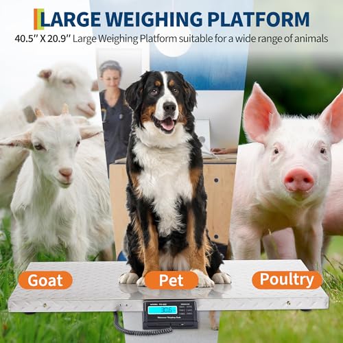 Báscula Digital para Ganado 1100lb con Plataforma Antideslizante miniatura 4