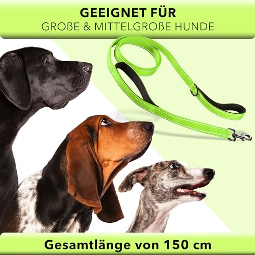 AVANA Hundeleine mit integriertem Kurzführer reflektierende Leine | 2 handschonende gepolsterte Handschlaufen | 1,5 Meter Führleine für große und mittelgroße Hunde - Neongrün