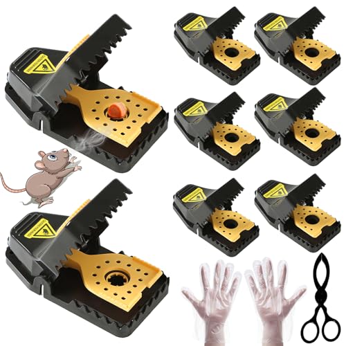 Best Mouse Trap - Reusable Snap Traps