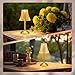 Liliful 4 Pcs Cordless Table Lamp Rechargeable Touch LED Small Gold Portable Battery Operated USB-c Desk Lamp 3 Color Dimmable for Bedroom Living Room Dining (Gold,Rose Style)