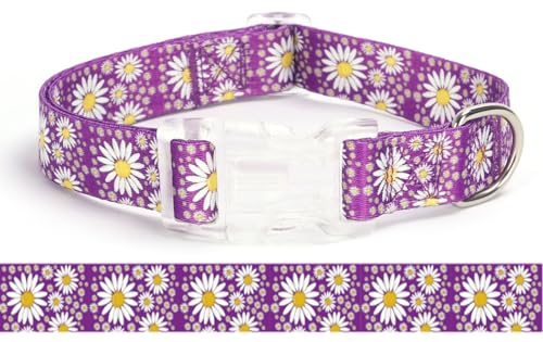 Pimaodog ̎q ̎ fCW[A킢sŇ̎ pA߉\ \tg v ybg  L q XS   ^(p[vAL ( 38.1 cm-55.9 cm)