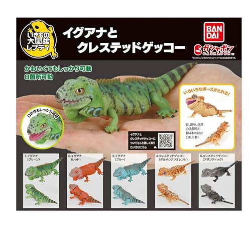 いきもの大図鑑レプティ イグアナとクレステッドゲッコー× 全5種セット フルコンプ ガチャガチャ カプセルトイ