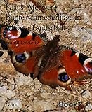  Bunte Schmetterlinge in schöner Landschaft: Ein BILDBAND