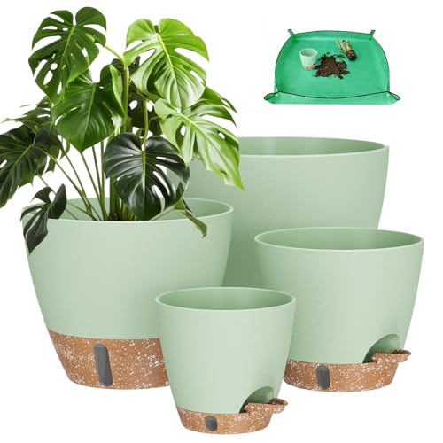 Self-Watering Plant Pots with Water Level Indicator (Set of 5)