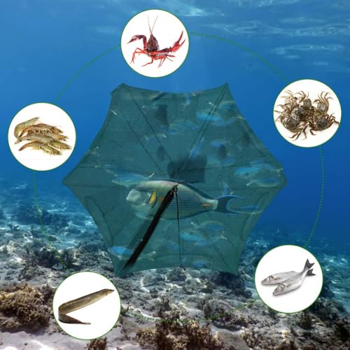 SOONHUA Fishing Bait Traps, Portable Fish Traps for Bait Fish, Fish Net, 22.8 X 8.7in Folded Fishing Bait Trap, 6 Holes Foldable Fishing Nets for Fish/Crab/Shrimp/Crawdad/Crayfish