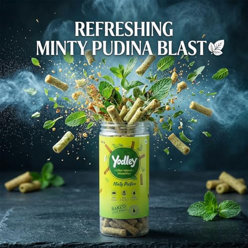 Image of Yodley Millet Masala Munchies - Minty Pudina Flavour - Pack Of 2 | Baked, Not Fried | No Maida, No Palm Oil | Zero Cholesterol | Zero Trans Fat & High In Fiber | Calcium & Iron Rich | Healthy Indian Snack - 150gm