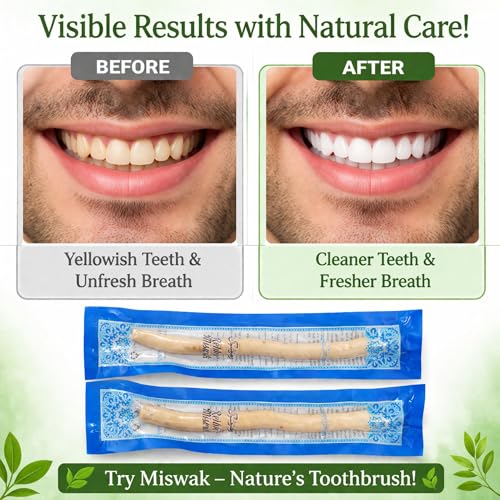 Image of Natural Miswak Stick Pack of 2 | Original Peelu Miswak for Teeth Cleaning | Herbal Toothbrush | Vacuum Packed Fresh Miswak Sticks