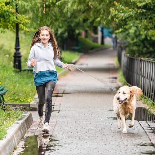 Beowanzk Leine Hund Ausziehbar, Weich Leine, Schleppleine für Kleine mit Pausensperre, Einhandbremse, Pause, Sperre, 5M (Gold)