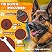 Terixe 4Pack Tie Down Kit for Ruffland Kennel - Tie Down D-Ring Kit, 1000lb Load Capacity, with Wrench - Easy Installation-(All Black)