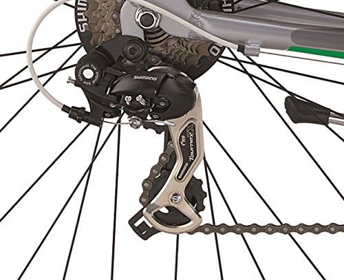 Legnano Ciclo 421 Alu Smeralda, City Bike Donna, Verde/Grigio, 48 : Sport e  tempo libero