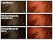 SoftSheen-Carson Dark and Lovely Fade Resist Rich Conditioning Hair Color, Permanent Hair Color, Up To 100 percent Gray Coverage, Brilliant Shine with Argan Oil and Vitamin E, Vivacious Red
