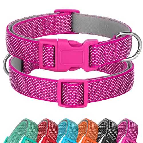 Didog Reflektierendes Hundehalsband mit Schnalle, verstellbar, weiches Neopren, gepolstert, Nylon, Haustierhalsbänder für kleine, mittelgroße und große Hunde, Hot Pink, S