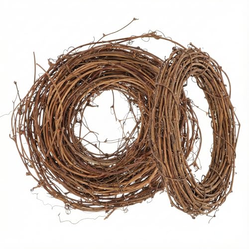 HEMOTON 2 Stück Weidenkranz Natur 20cm, Türkranz Rohling zum...