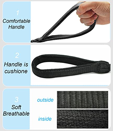 Mycicy Reflective Dog Leash in Use