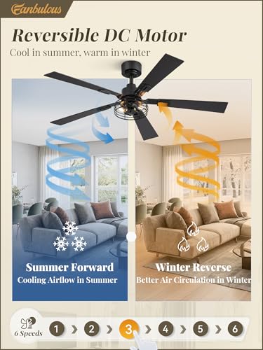 Image of Fanbulous 48 Inch Farmhouse Rustic Ceiling Fan with Light & Remote, 2-Pack